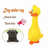Image result for Honking Rubber Dog Toy