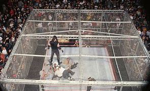 Image result for Hell in a Cell Matches