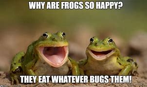 Image result for Frog Lord Memes