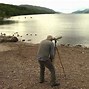 Image result for Loch Ness Monster Catfish
