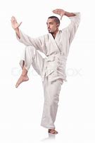 Image result for Karate Poses