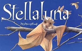 Image result for Stellaluna Book