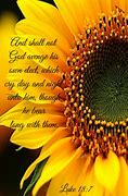 Image result for Pinterest 30-Day Bible