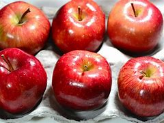 Image result for Red Delicious American Apple's