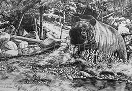 Image result for Native American Bear Drawings Pencil