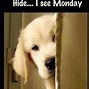 Image result for theCHIVE Monday Memes