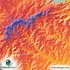 Image result for Topographic Map of SC