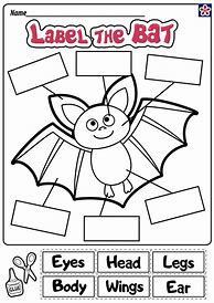 Image result for Bat Worksheet 1st Grade