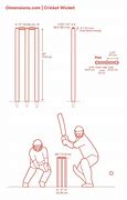 Image result for Cricket Wicket Hight