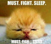 Image result for Sleep or Work Meme