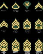 Image result for U.S. Army Military Insignia