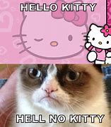 Image result for Hello Cat Meme