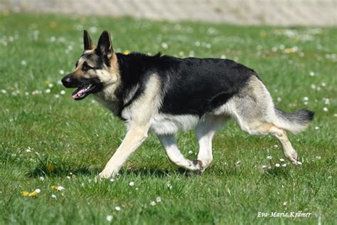 Image result for How to Insert Floating Point Values in SQL