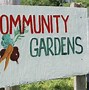 Image result for Community Garden Clip Art Free