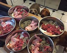 Image result for Raw Diet Food for Wolf Dogs