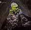 Image result for World's Biggest Cave
