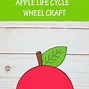 Image result for Apple Life Cycle Toddler Craft