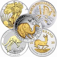 Image result for Gilded Silver