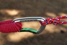 Image result for Double Carabiner