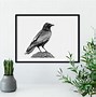 Image result for Cool Aesthetic Crow Drawing