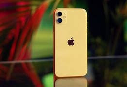 Image result for Hasil Foto iPhone 11
