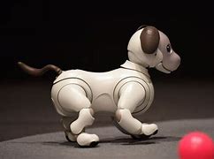 Image result for Aibo 110 Playing