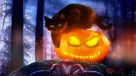 Image result for Chat Noir Cute Collage Wallpaper