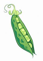 Image result for Pea Size Amount of Cream Cartoon