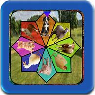 Image result for Animal Spin Wheel