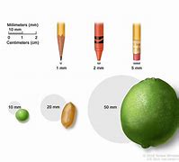 Image result for Things That Are Millimeters