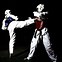 Image result for Martial Arts Background