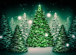 Image result for Christmas Tree Woods Wallpaper
