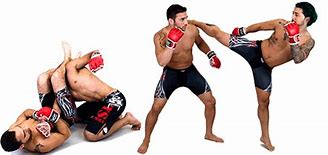 Image result for MMA PNG
