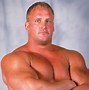 Image result for WWE Wrestlers