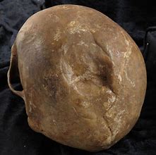 Image result for Medeval Skull