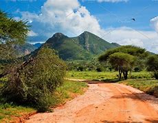 Image result for Savannah with Highlands Kenya