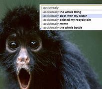 Image result for Google Funny Pictures