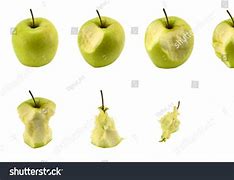 Image result for Apple Eating Stages