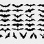 Image result for Halloween Bats Carton