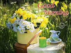 Image result for Good Morning Have a Great Day Design