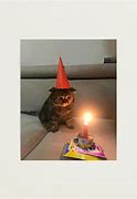 Image result for Sad Birthday Cat Meme