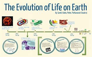 Image result for Who Invented Life