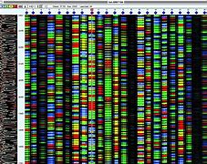 Image result for DNA Gene Sequence