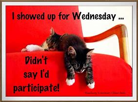 Image result for Funny Quotes About Wednesday
