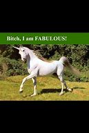 Image result for Clydesdale Unicorn Meme