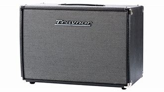 Image result for Traynor 1X12 Cabinet
