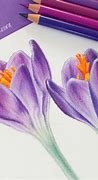 Image result for Colored Pencil Drawing Tutorials
