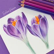 Image result for Colored Pencil Shading