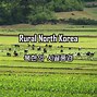 Image result for North Korea Village Life