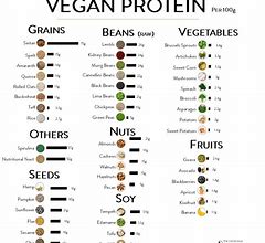 Image result for Vegan Protein Sources Chart